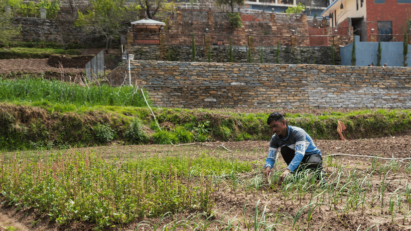 A farmers activity in the Agricultural field at the Digantaa Resort