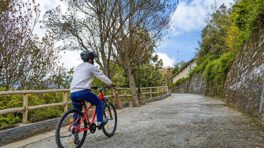 Digantaa Resort Mukteshwar - 142